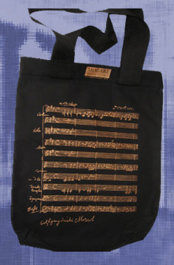 Mozart carry bag